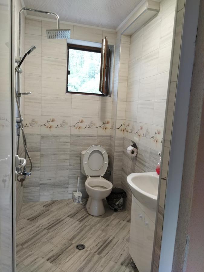 Proynovi Guest house *