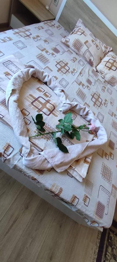 Guest house Proynovi