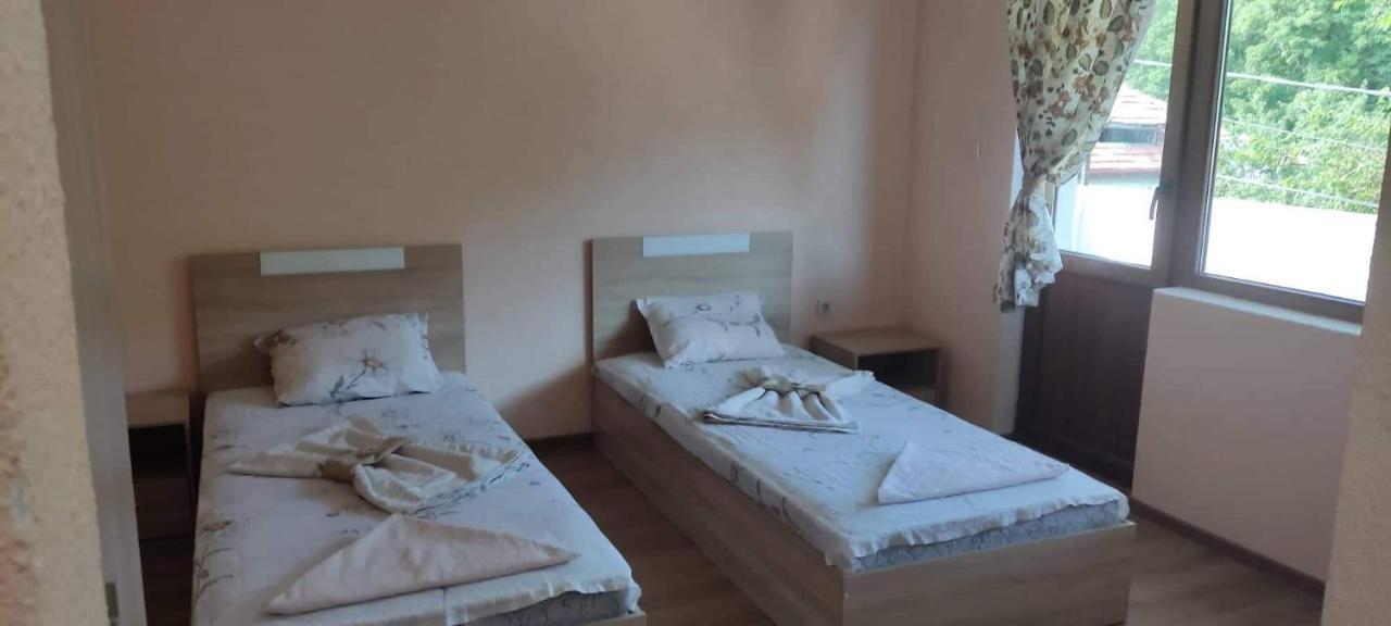 Guest house Proynovi