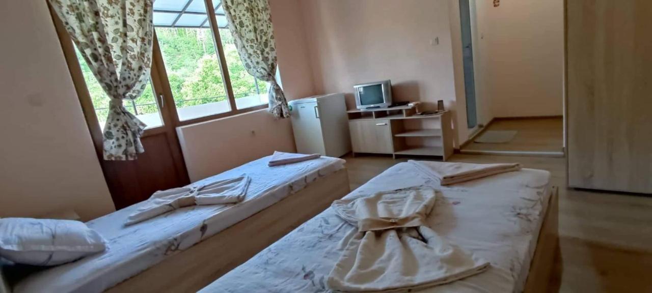 Proynovi Guest house
