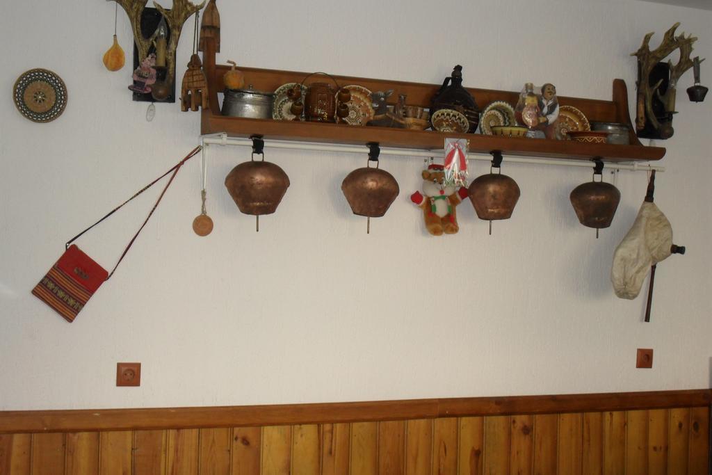 Proynovi